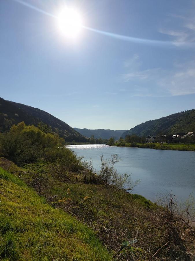 Residenz Moselzauber - Ferienwohnungen Mit Pool Landschaft Ernst Exterior photo
